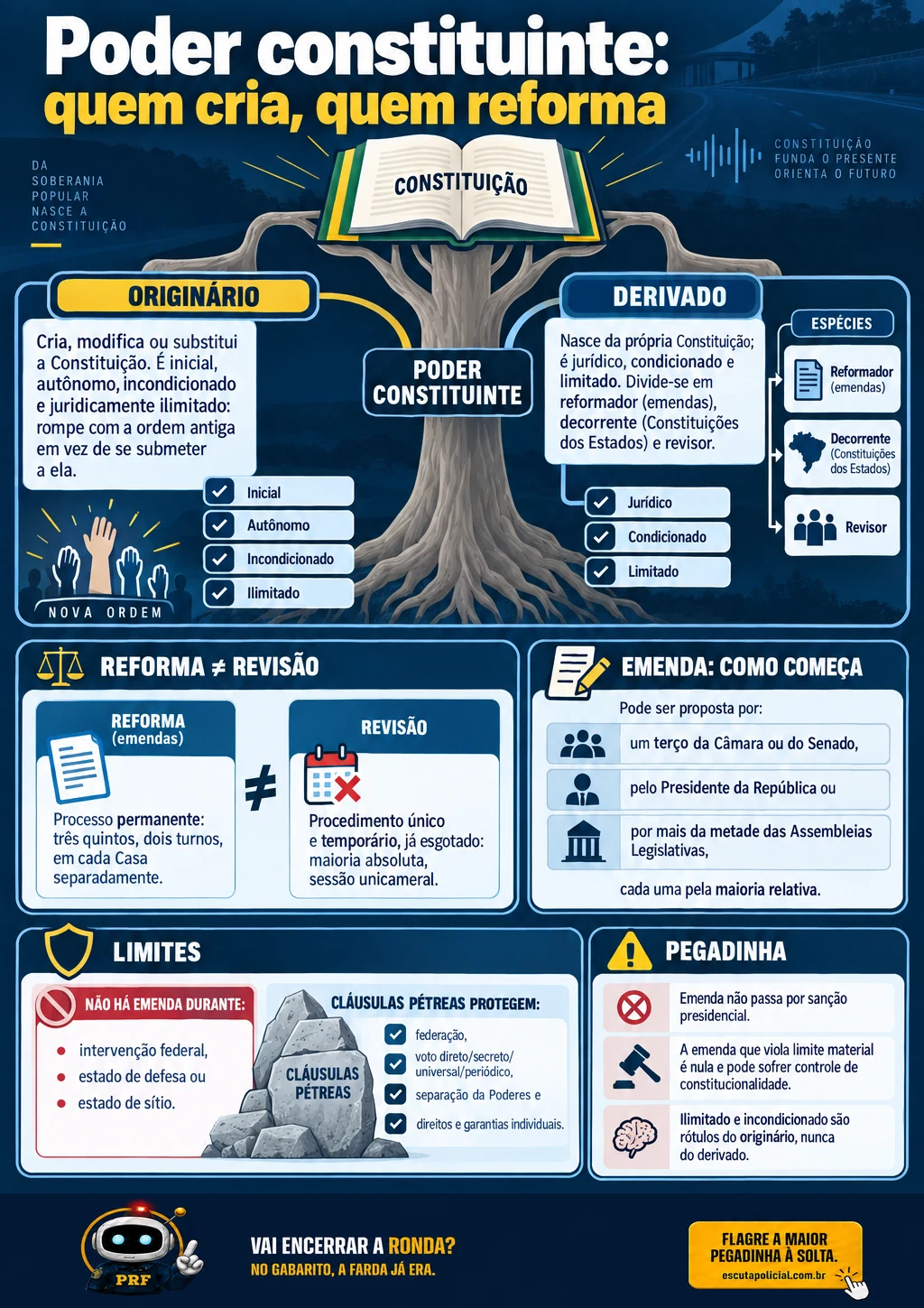 Infográfico completo: Poder Constituinte