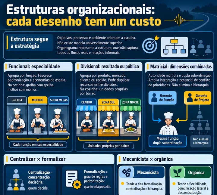 Infográfico sobre estruturas organizacionais e departamentalização, com modelos funcional, divisional e matricial, estruturas mecanicista e orgânica, centralização e formalização.